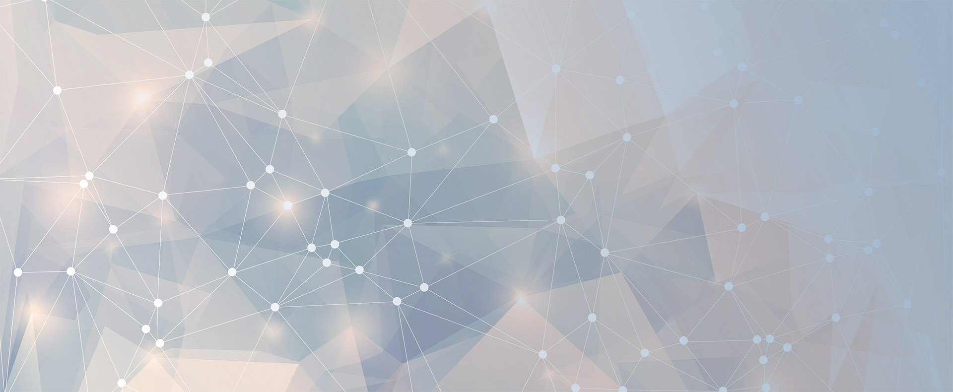 Netzwerk Steuerberater, Rechtsanwälte, Wirtschaftsprüfer